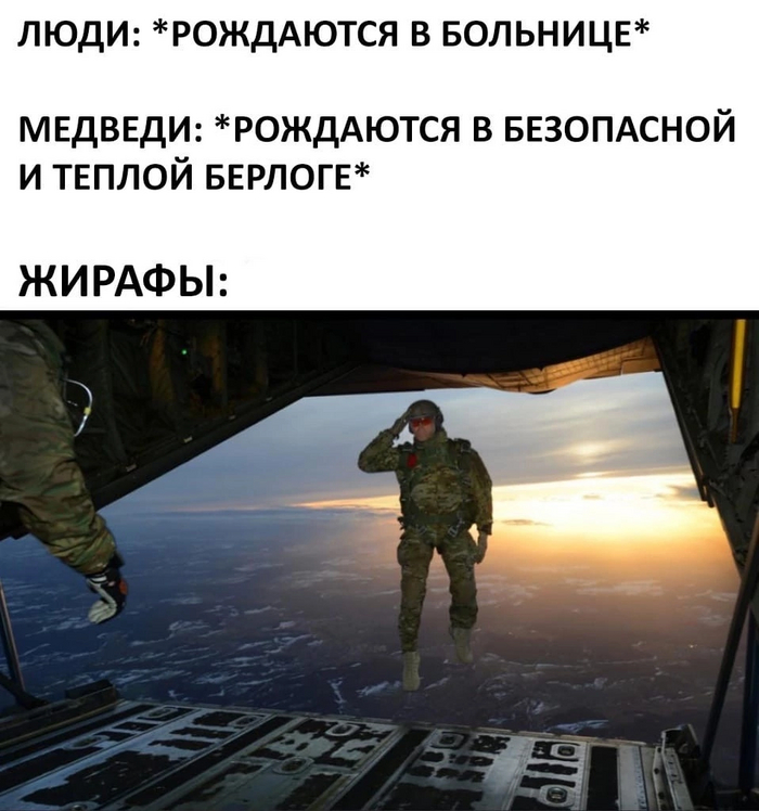 � ����� �����