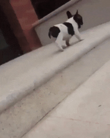      , , , 