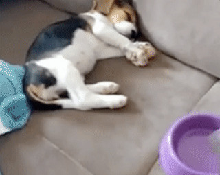      , , , 