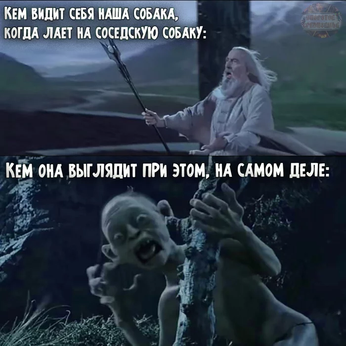 The dog barks - the wind blows - Persistent Middle-earth, Lord of the Rings, Saruman, Gollum, Dog, Picture with text, Translated by myself