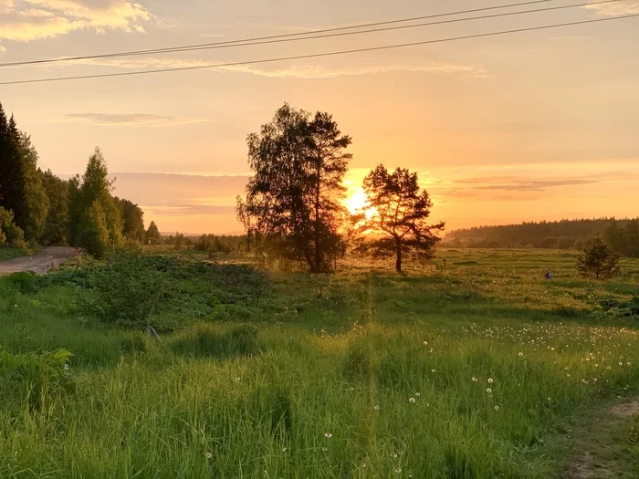 Закат - Моё, Закат, Дерево, Фотография