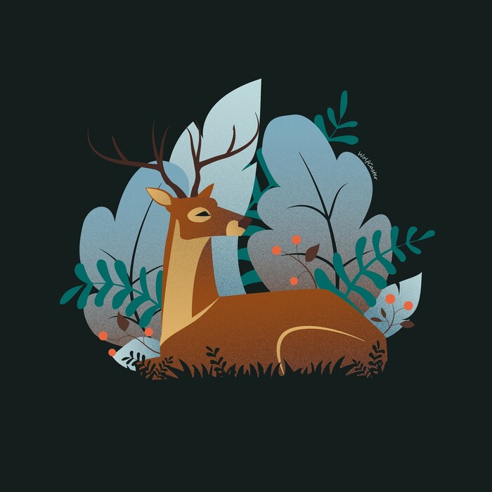 ��������)