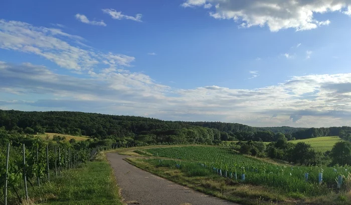 Evening landscapes) - My, Germany, Relaxation, Nature, The photo