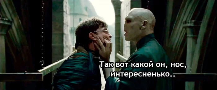 interesting - Harry Potter, Harry Potter and the Deathly Hallows, Voldemort, Nose, Picture with text, Translated by myself