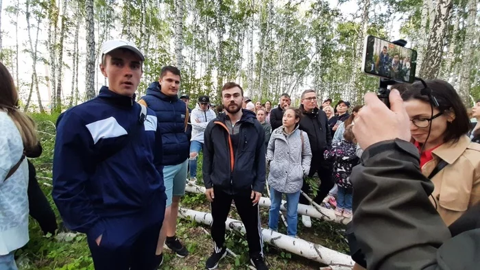 In Chelyabinsk, the authorities are cutting down the forest again - Officials, Ecology, Chelyabinsk, Video, Youtube