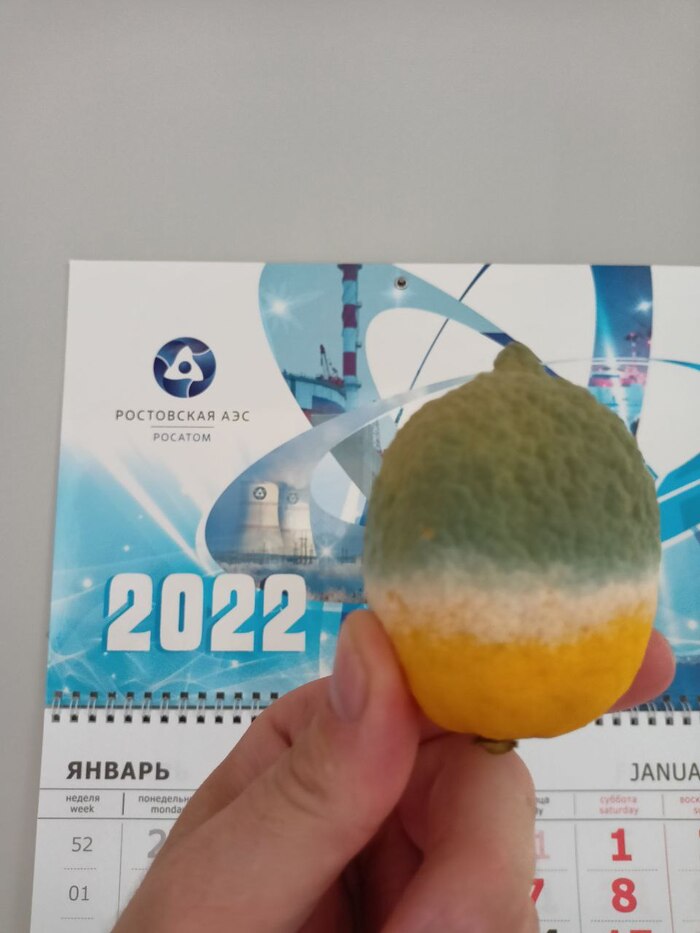 Заглянул в холодильник, а там лимон поспел)