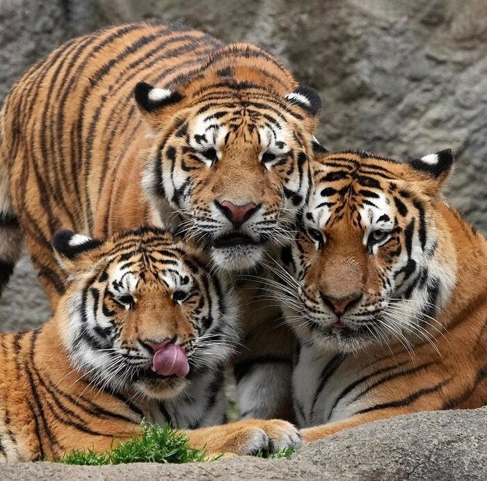 Аппетитно выглядишь, фотограф