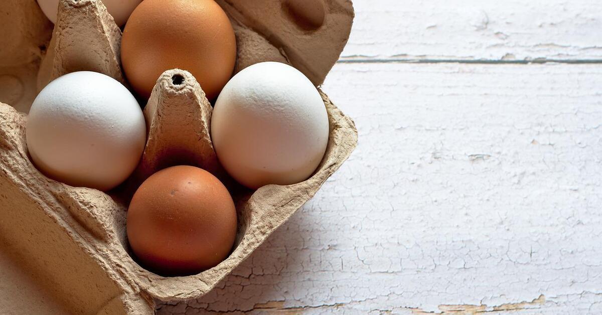 Что полезнее, яичный белок или желток?