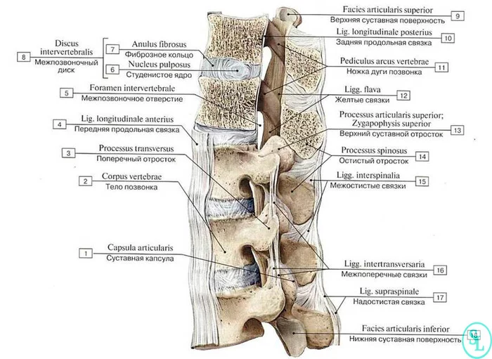 Instability of the spine and displacement of the vertebrae. - My, Health, The medicine, Treatment, Pain, Instability, Disease history, Longpost