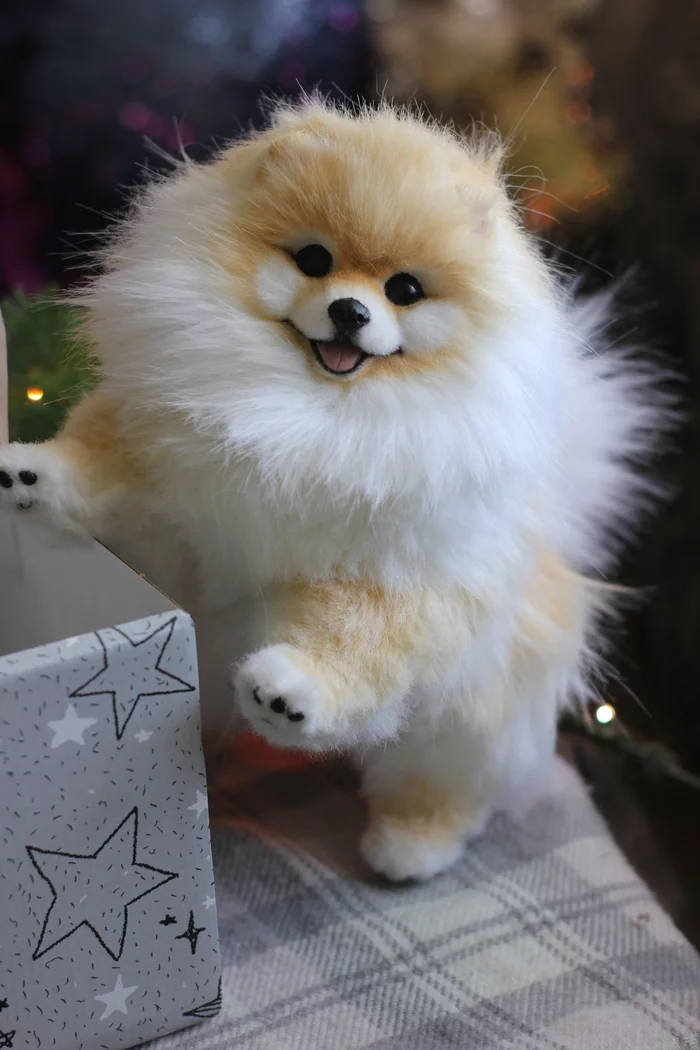 Handmade Spitz - My, Handmade, Needlework without process, Dog, Spitz, Soft toy, Author's toy, Milota, Nature, Longpost, Toys