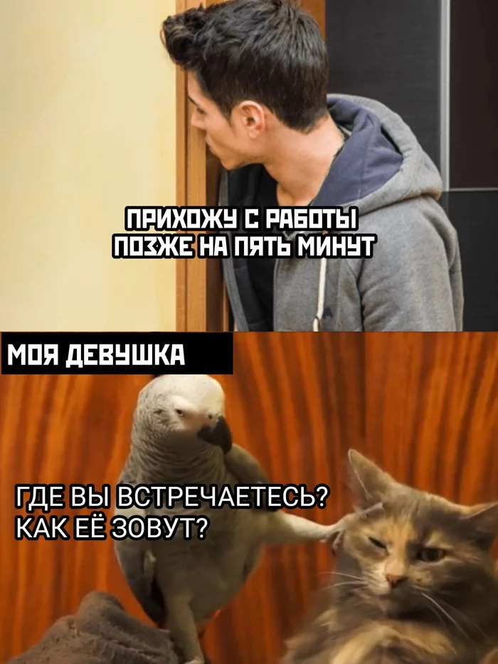 Пикабу отношения