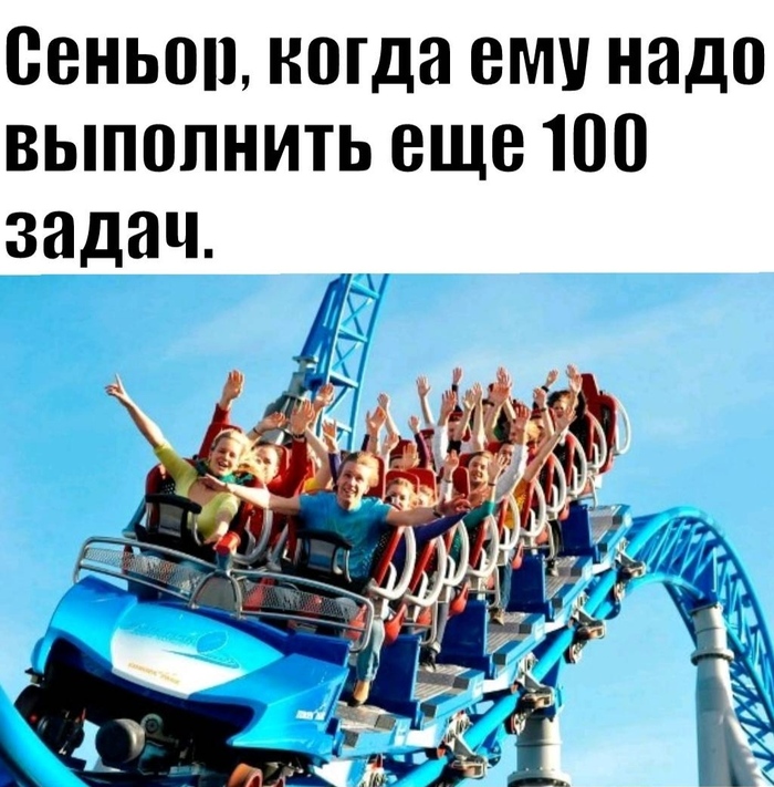 ?  ? , IT, ,   , 