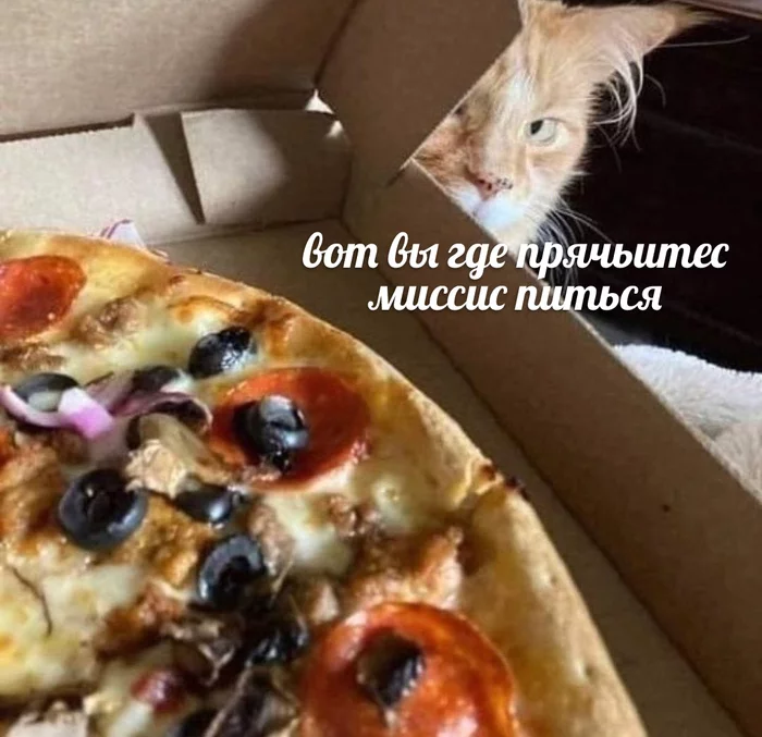 Pizza - cat, Pizza, Picture with text