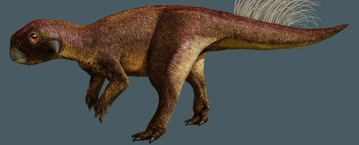 Палеонтологи впервые обнаружили пупок динозавра Динозавры, Пупок, Окаменелости, Палеонтология, Яйцекладущие, Вымершие виды, Доисторические животные, Китай, Длиннопост