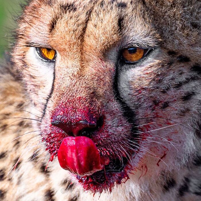 Обед был вкусным