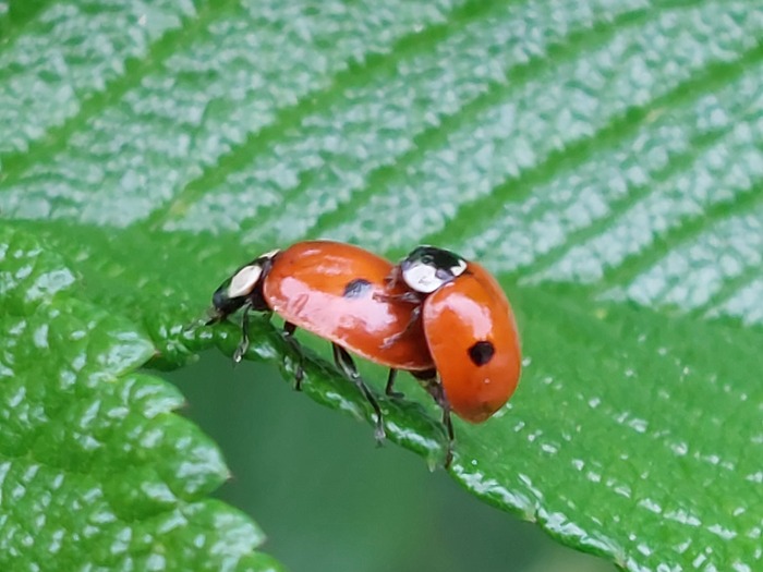 Доброе утро