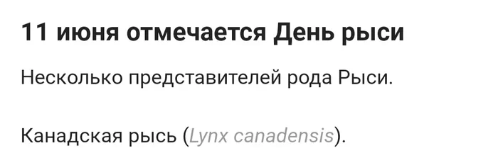 Поток сознания - Моё, Пикабу, Рысь, Семейство кошачьих, Поток сознания, Длиннопост