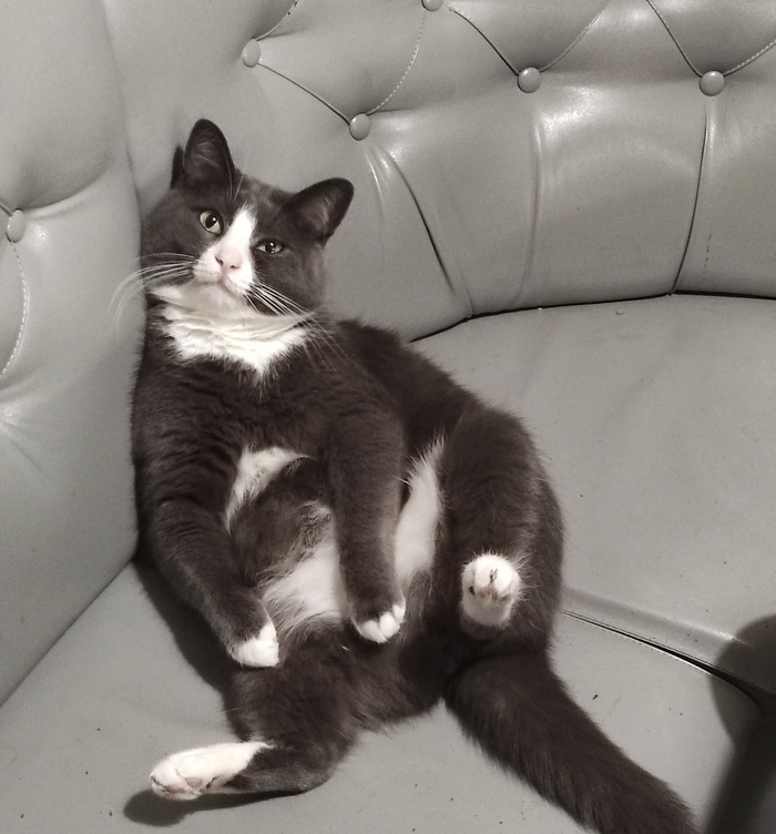 ����� ���������� �������� ������