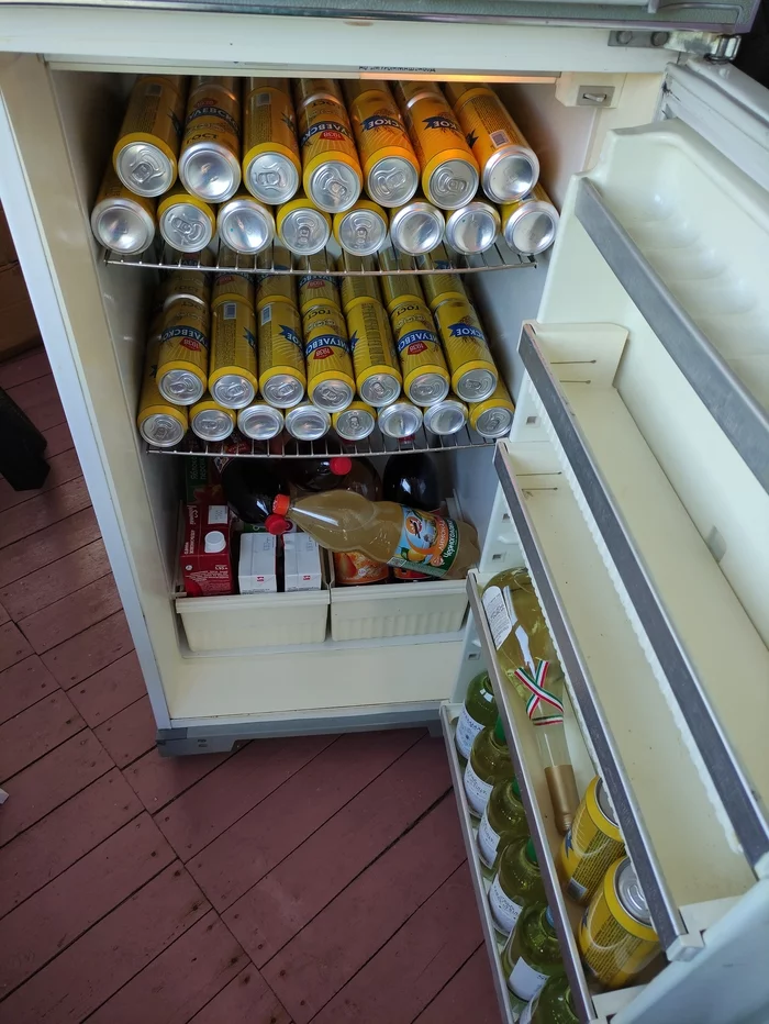 Just a fridge in the country - Refrigerator, Dacha, Relaxation, Alcohol