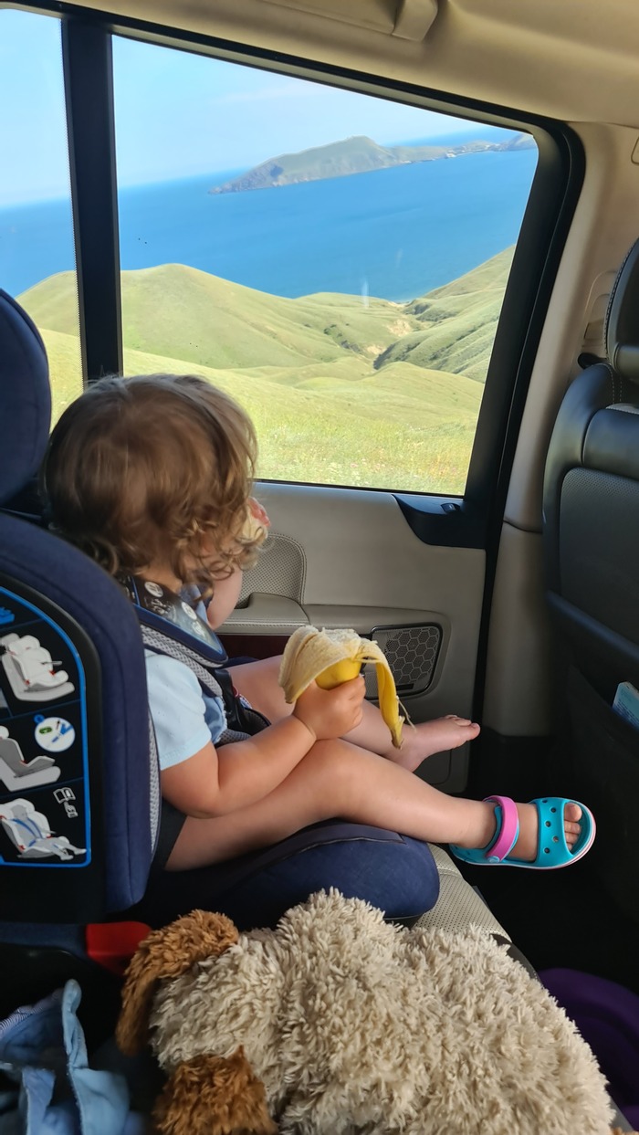 А из нашего окна, родина чудесная видна!