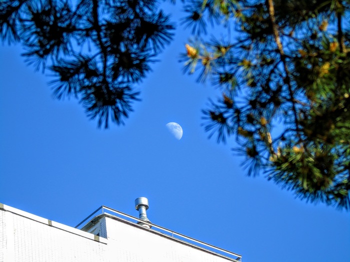 Видна ли Луна днем? Луна, Астрономия, Фотография, Астрофото, Природа, Длиннопост