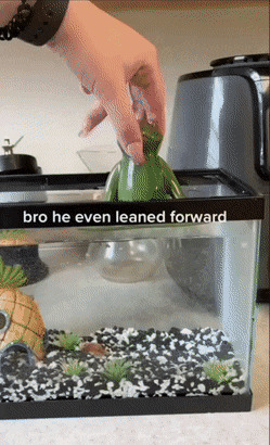   , , , 