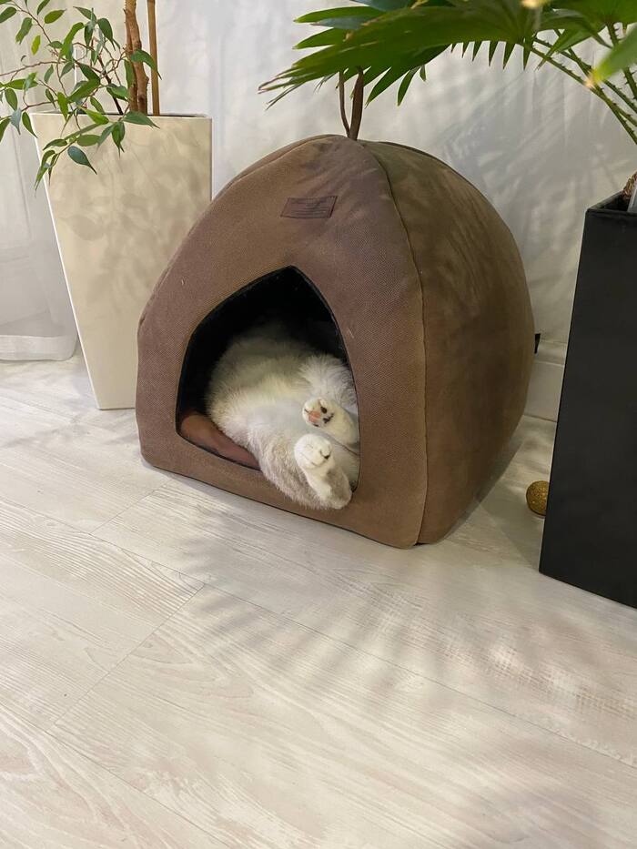 ������ ����� ����� ��������