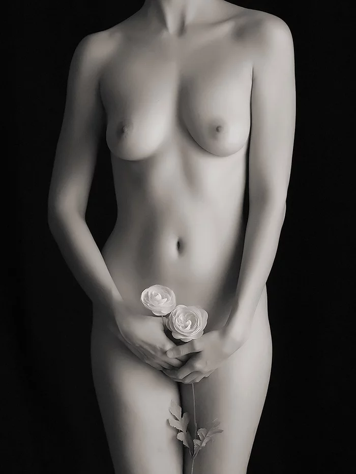 Roses in monochrome - NSFW, Girls, Erotic, Boobs, the Rose, Monochrome, Black and white, No face, The photo, From the network