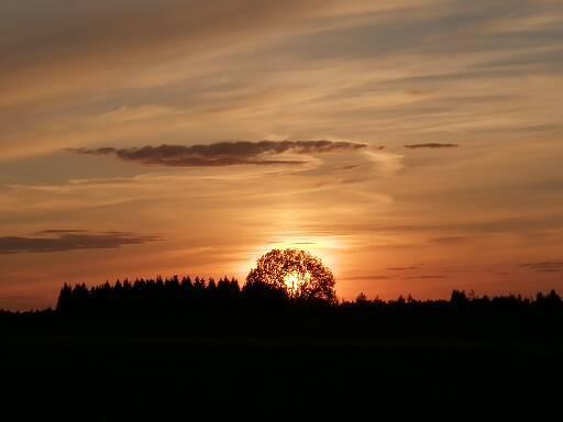 ���� ���������� ����� ��� ������ � ����