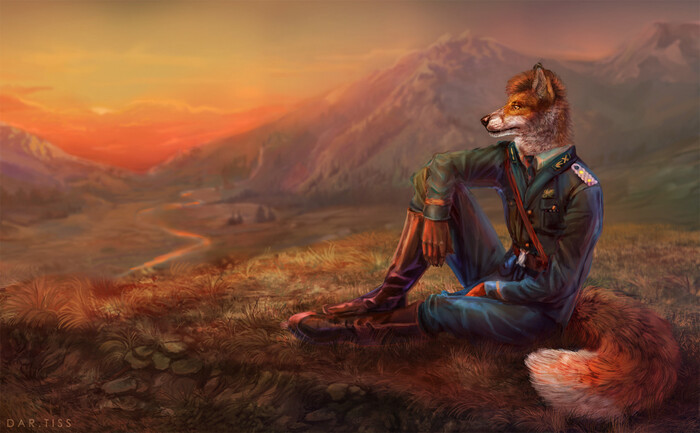   , Furry Art, Furry Canine, Furry Fox, 