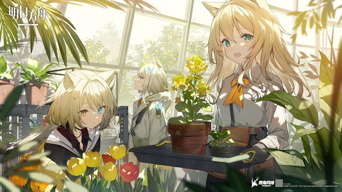 Arknights operators , Anime Art, Arknights, Hibiscus, Suzuran, Texas (Arknights), Blaze, Chen (Arknights), Viviana (Arknights), Shining, Saria, Podenco, , Animal Ears,   