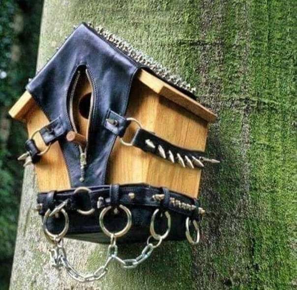 This birdhouse participates in the festival) - Birdhouse, The festival, BDSM, Repeat