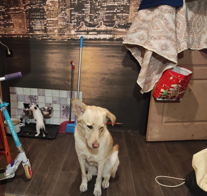 Я начал жизнь в трущобах городских...