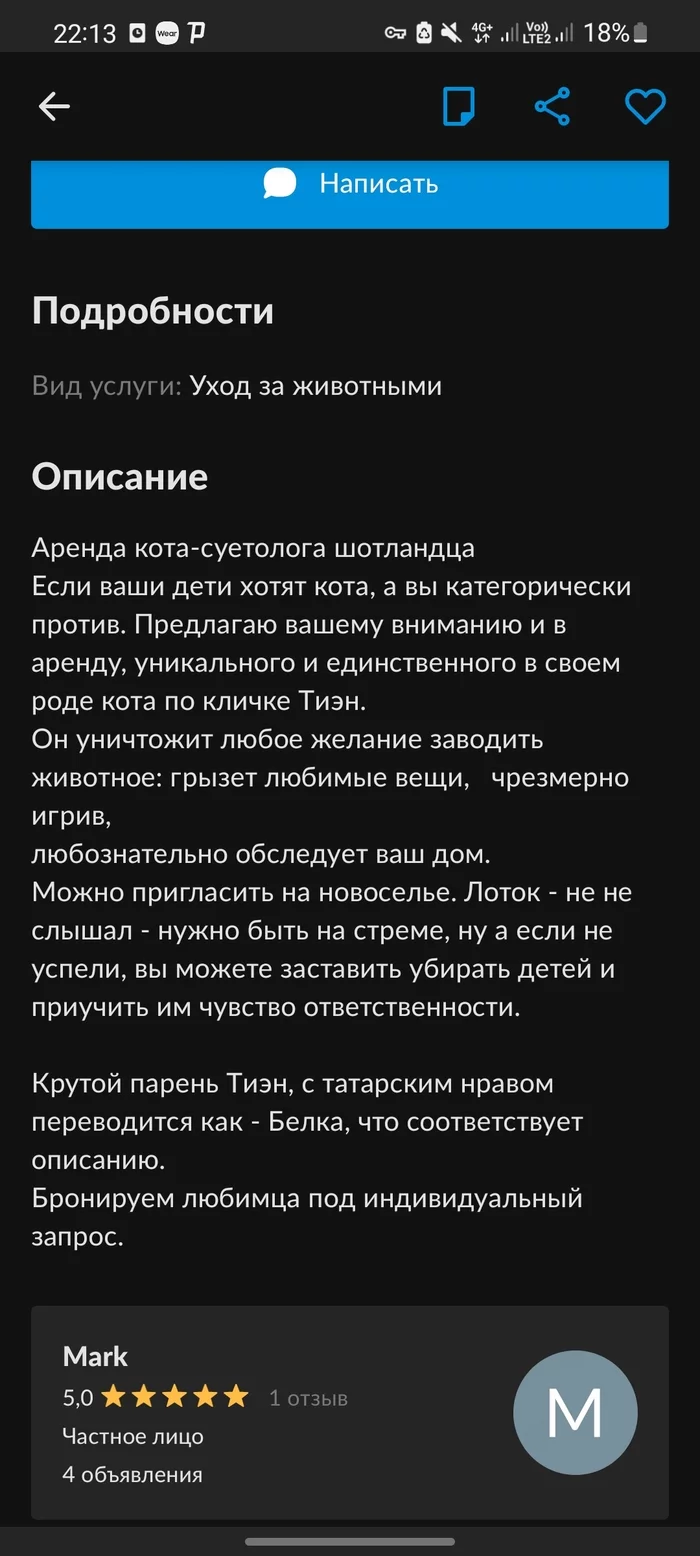 Кот в аренду - Наташа мы все уронили, Картинка с текстом, Кот, Из сети, Объявление на авито, Авито, Смешные объявления, Объявление, Длиннопост