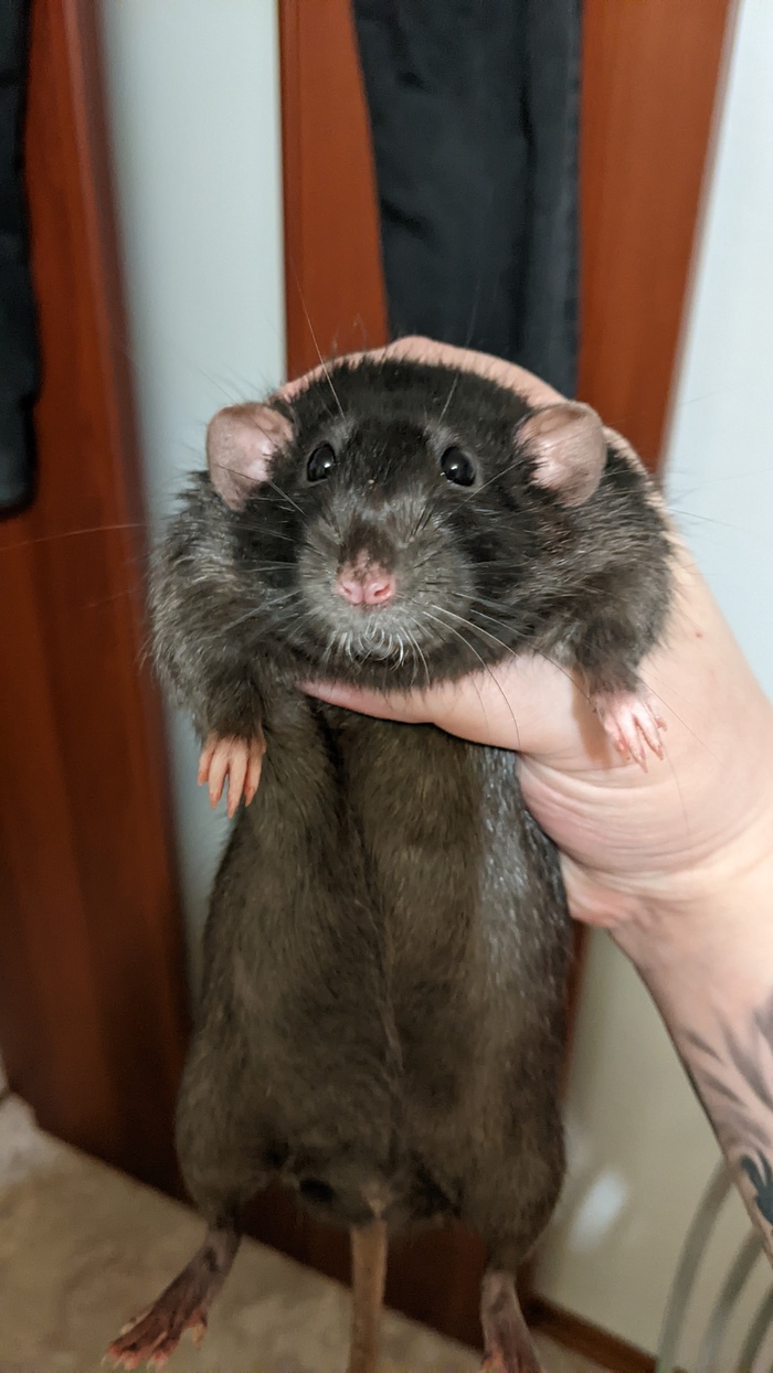 �� ������, �� ������...