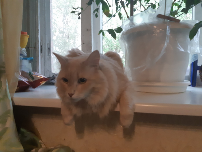 ������ �� ��������