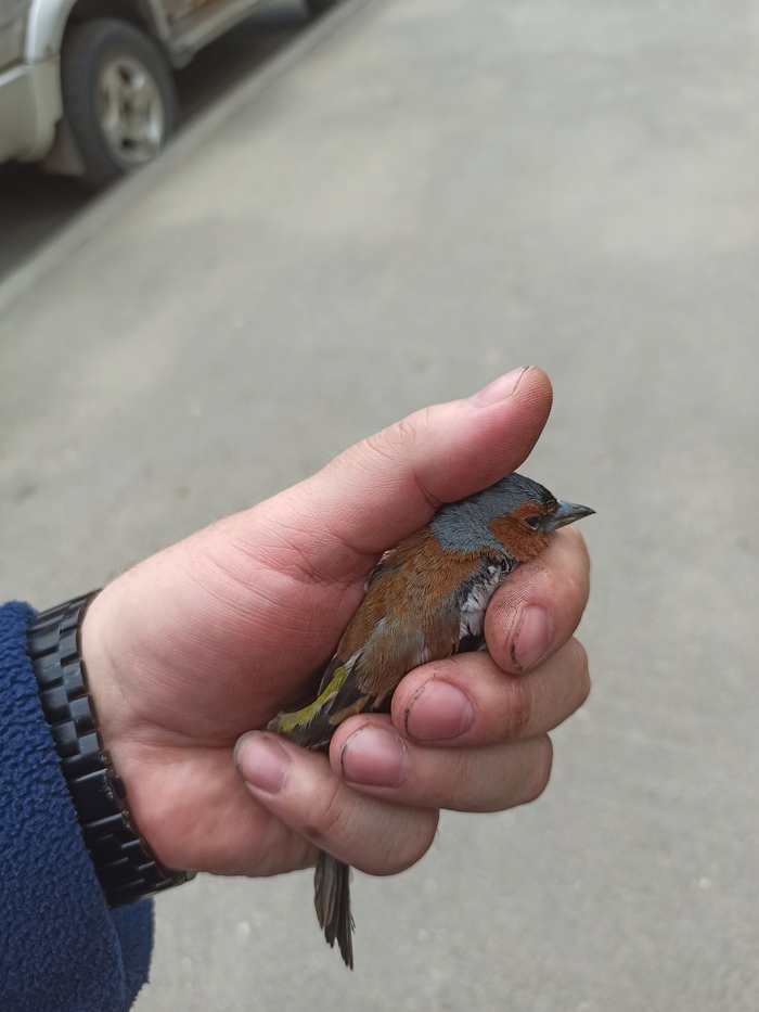 ���������� ��������