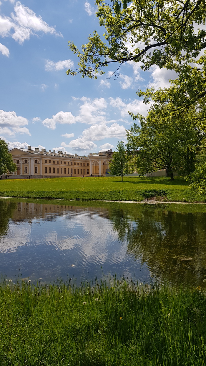 Ходим шаги летом