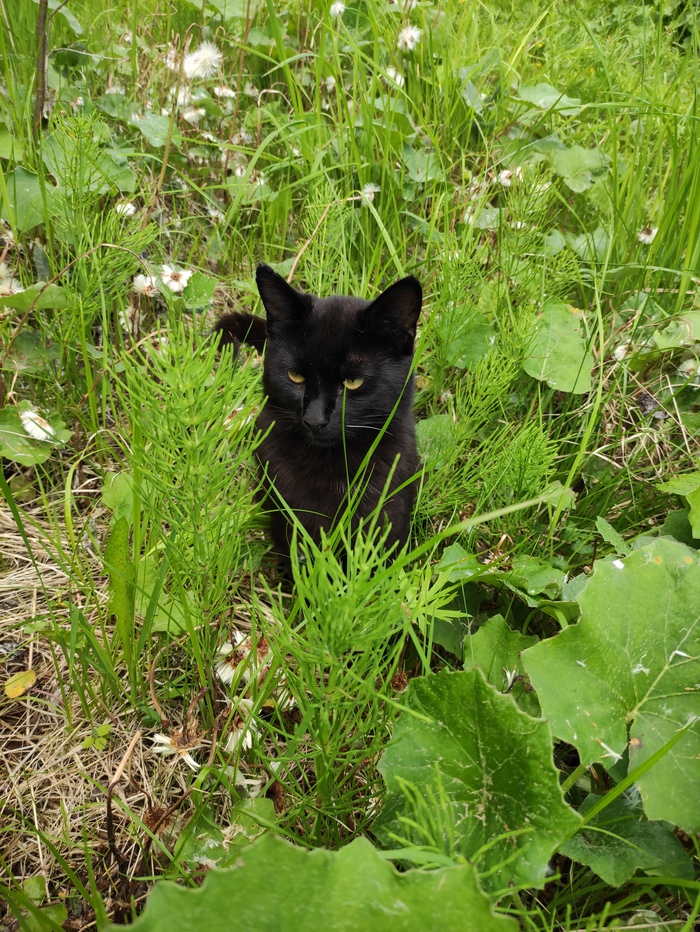 �������� �� �������