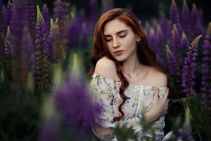 lupine field - My, The photo, Sunset, Nature, Field, Lupine, Girls, Summer