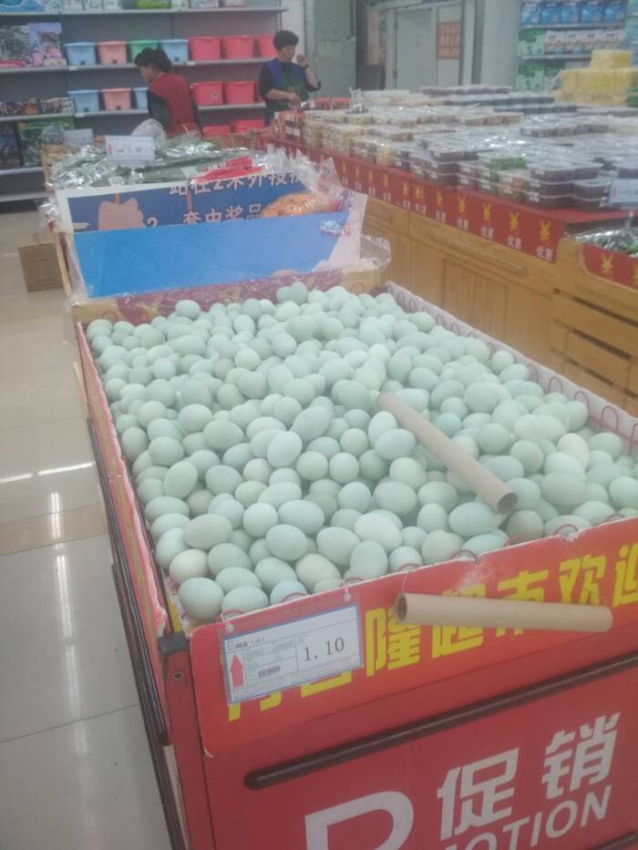 Продолжение поста «Как пописять в два океана за один день» Путешествия, Дальний Восток, Мотопутешествие, Переезд, Ответ на пост, Длиннопост