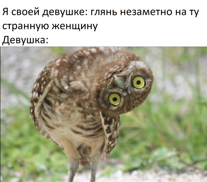 И так каждый раз