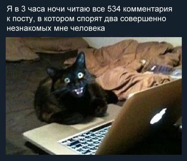 And then in the morning to work, really - Humor, Picture with text, cat