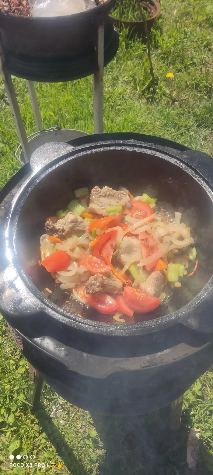 Испытания печки для казана - Моё, Готовка на костре, Казан, Длиннопост, Мясо, Шурпа