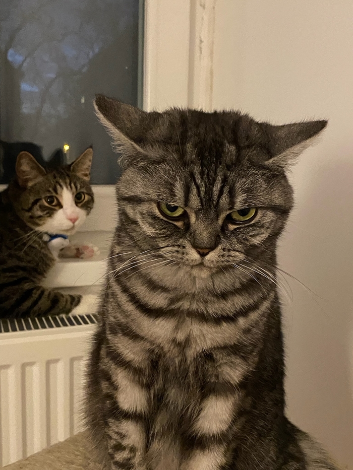 Когда оставили нянчится с ребёнком