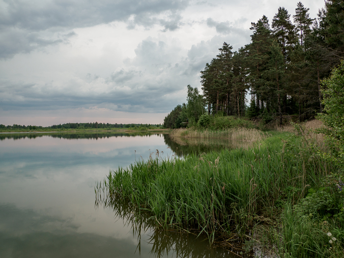 Перед грозой