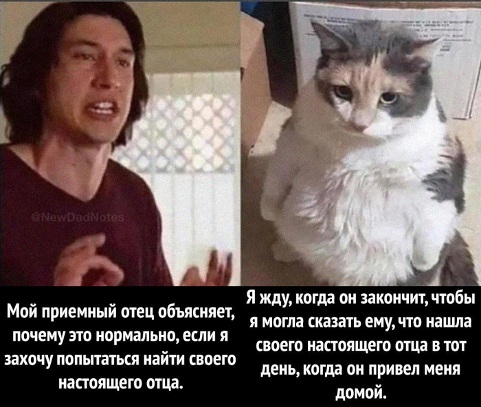 ������ ��������