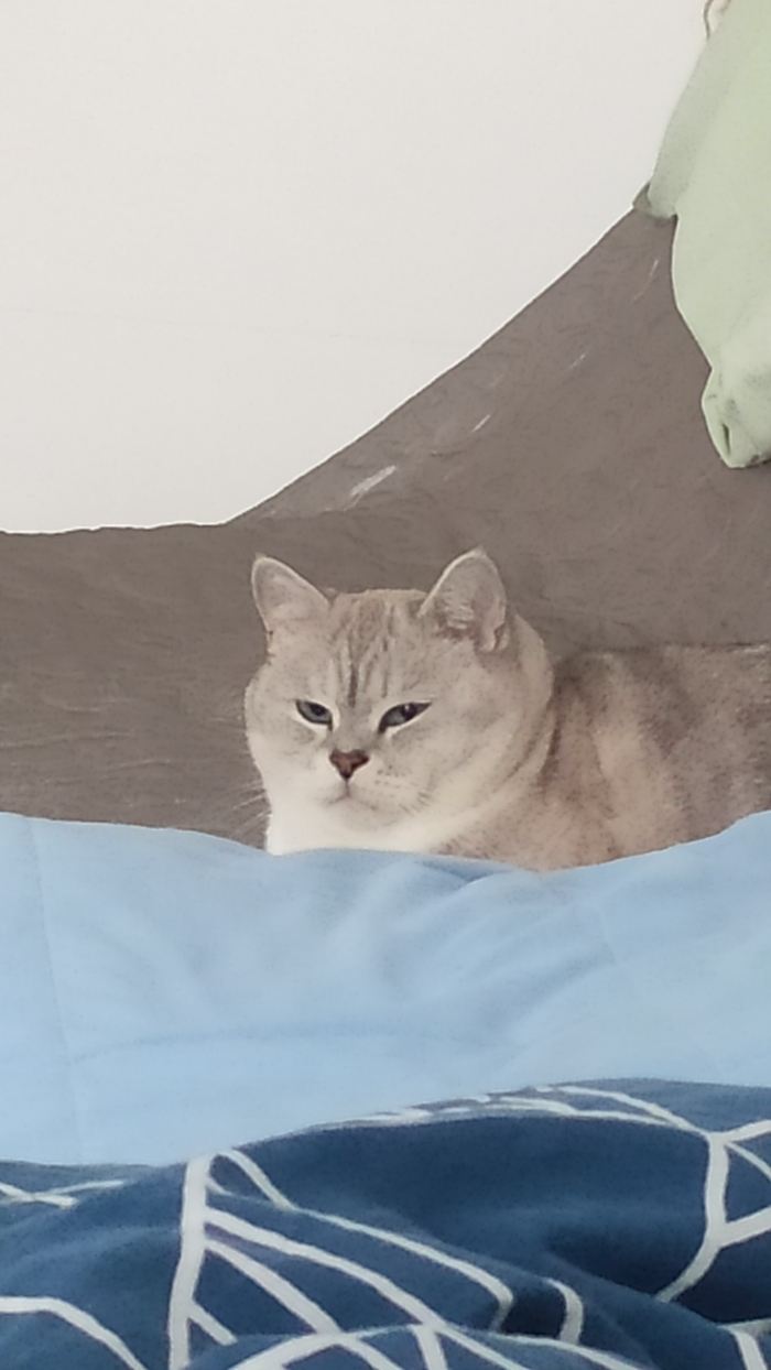 "� �� ��� �� ��� ����� ��� ����?"