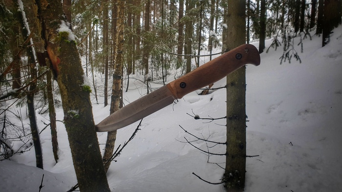 ���������� ����������. ��� Forester