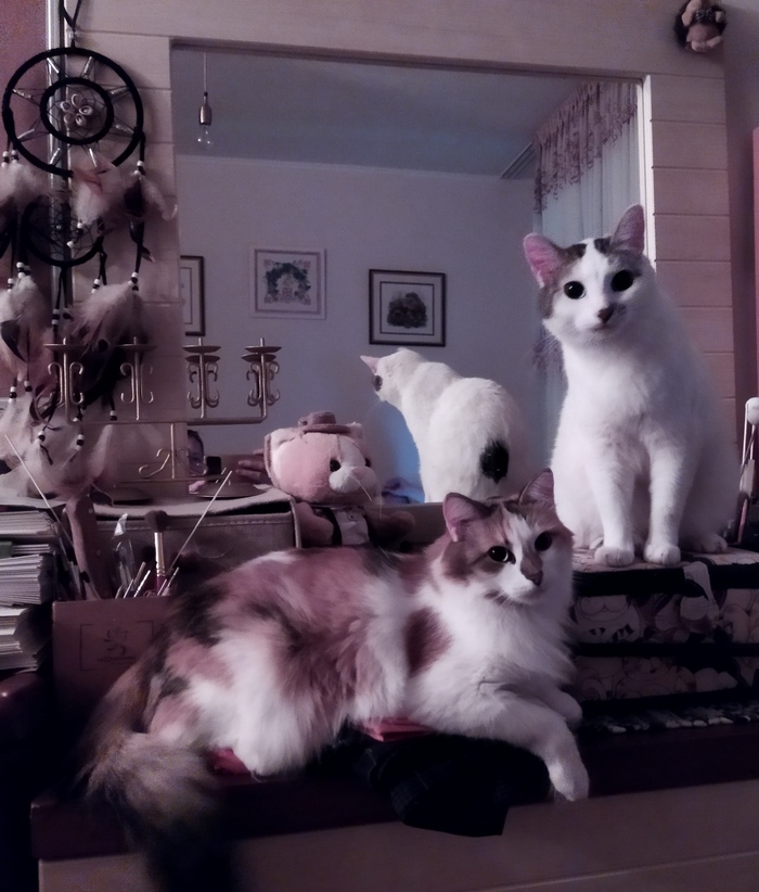 �������� ����������� ���������